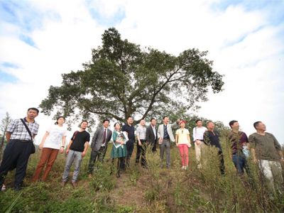 2016年10月查看遠恒佳重慶公學(xué)用地