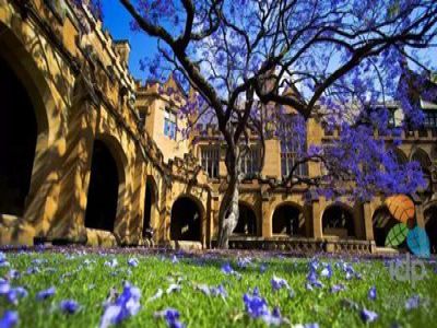 美好學校|走進遠恒佳，世界名校與您有約