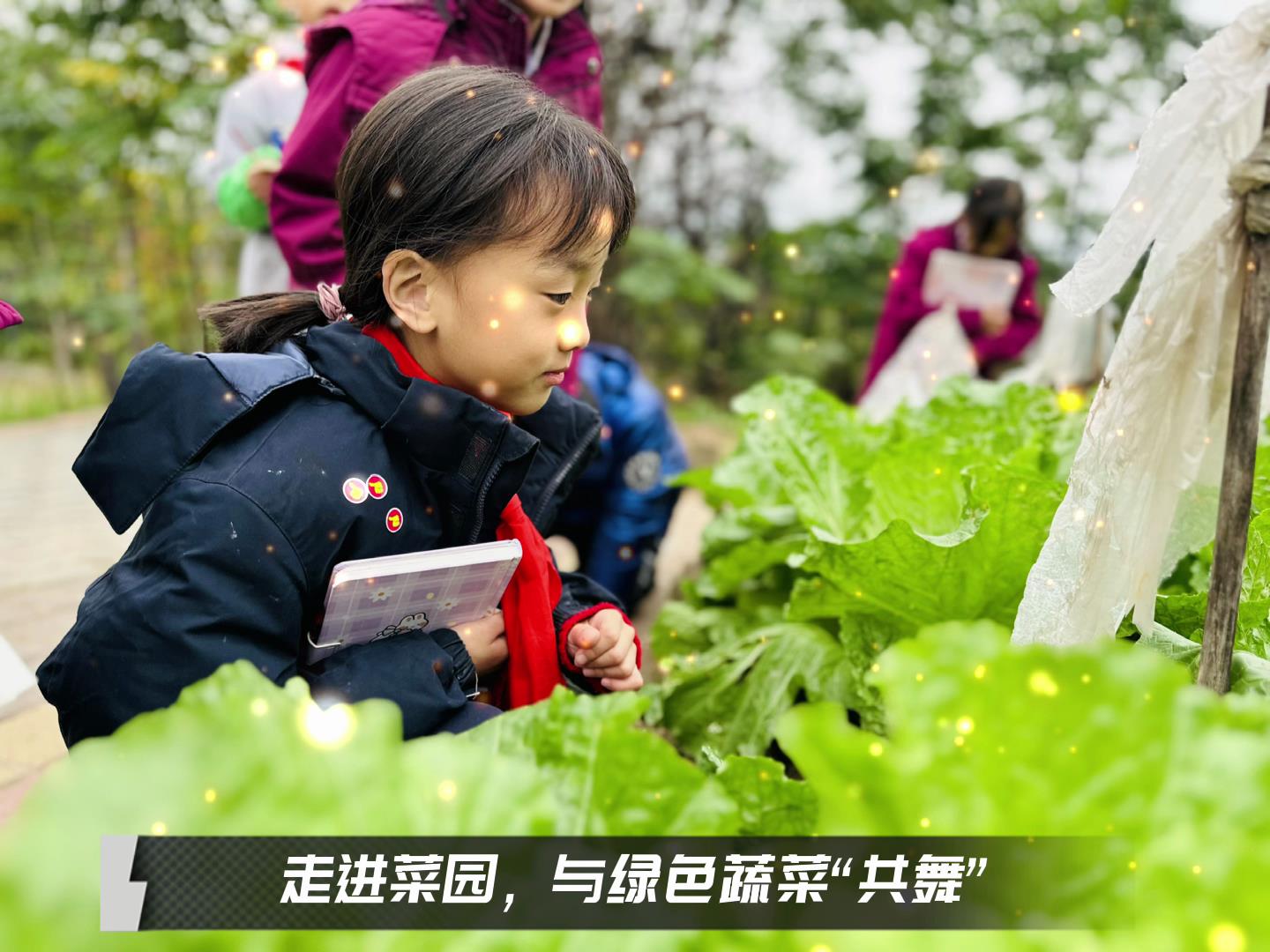 #美好學(xué)校|留校時光，走出教室，與綠色蔬菜共舞