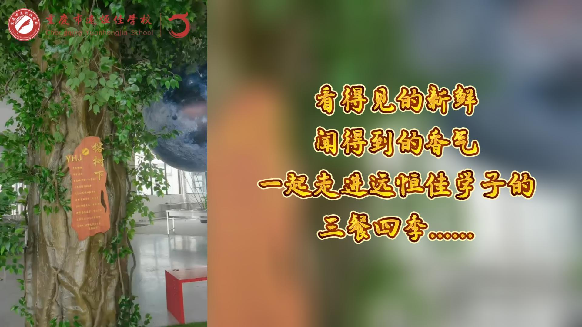 #美好學(xué)校|看得見的新鮮，聞得到的香味，一起走進(jìn)遠(yuǎn)恒佳學(xué)子的三餐四季!