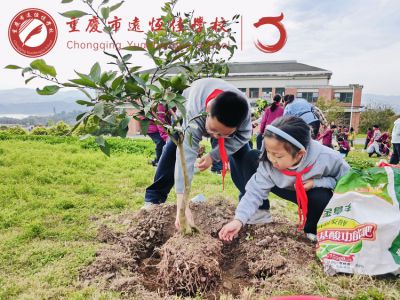 多彩遠恒佳|植綠啟新，共育美好——重慶市遠恒佳學(xué)校義教部開展“我與小樹共成長”主題植樹活動